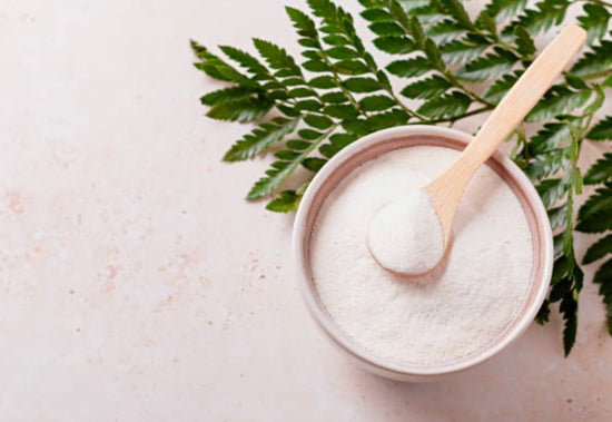 Collagen powder in a bowl with a leaf behind it.